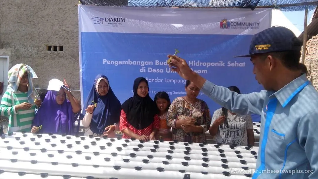 Budidaya Sayur untuk Masyarakat Nelayan