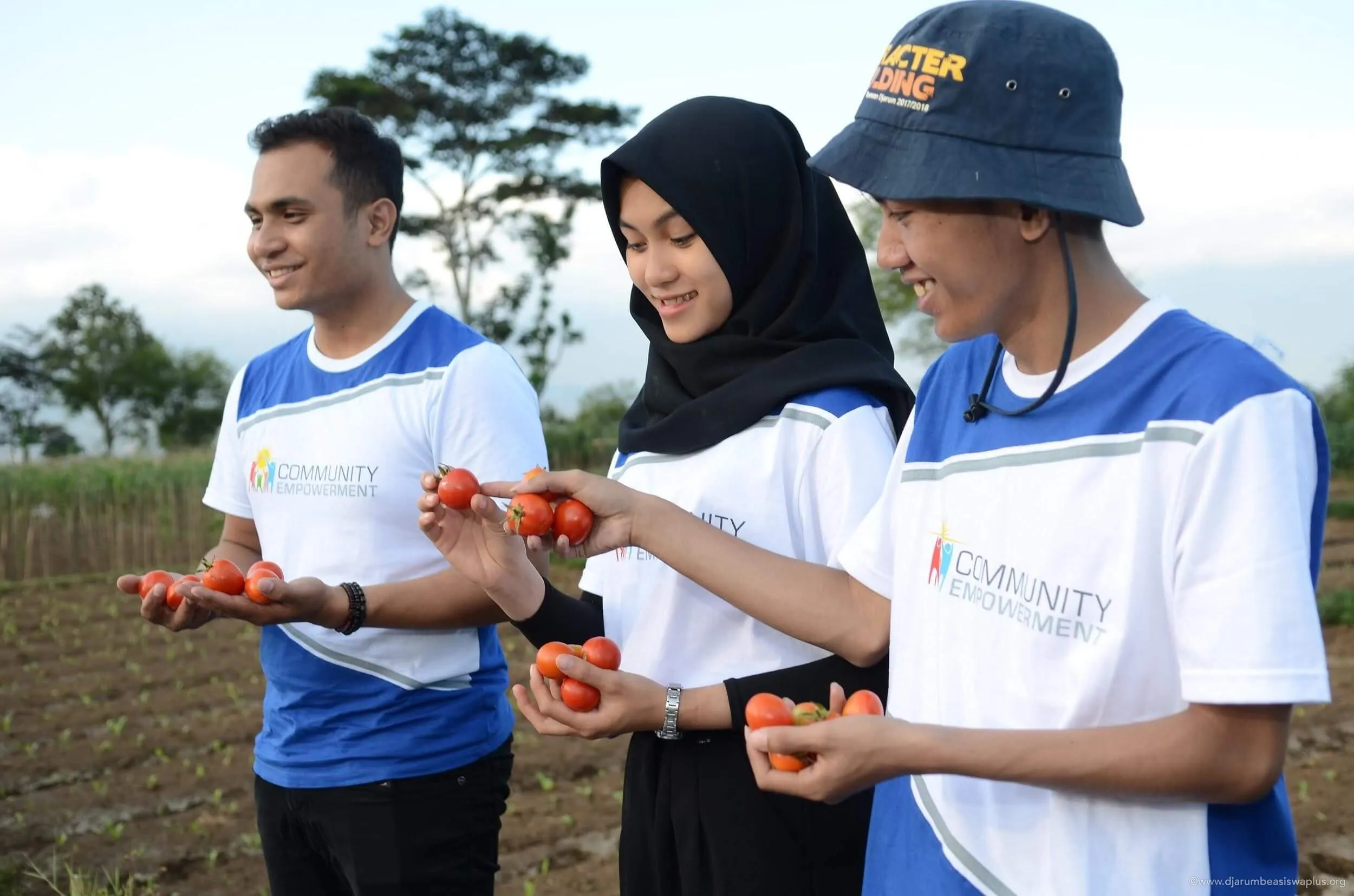 Renyahnya Tomat Krispi “Daumato” Kabupaten Malang