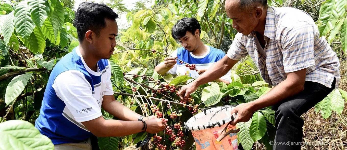 Kopi Roki Robusta Indrokilo: Berantas Pengangguran Ibu – Ibu Dusun Indrokilo