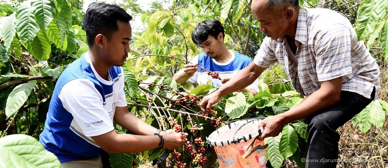 Kopi Roki Robusta Indrokilo: Berantas Pengangguran Ibu – Ibu Dusun Indrokilo