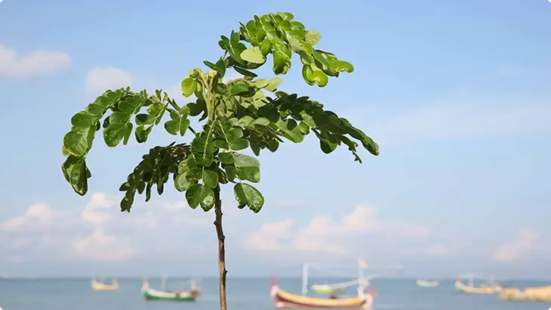 Lingkungan Fisik Pembelajaran